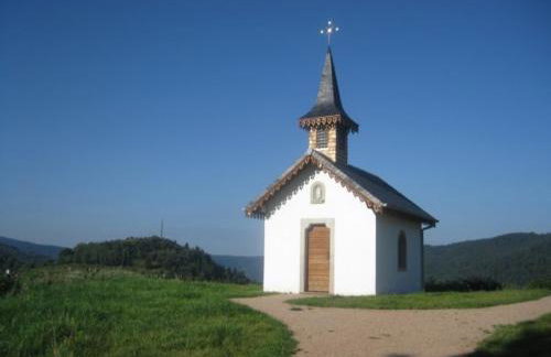 Chalet familial dans le Parc des Vosges, wifi et animaux acceptés - FR-1-589-840 - Foto 22