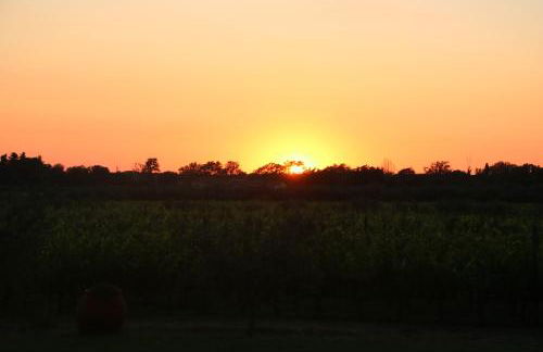 Podere Campo alle Serpi - Foto 26