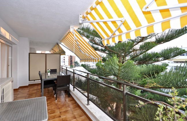 Bonsol Lloretholiday - Foto 14