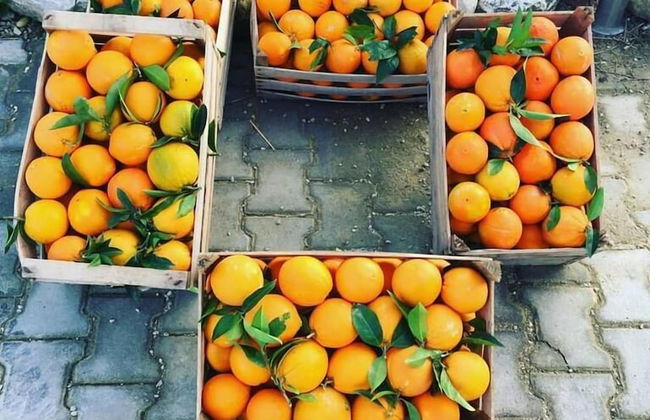 Tenuta Lanza Il Mulino - Photo 18