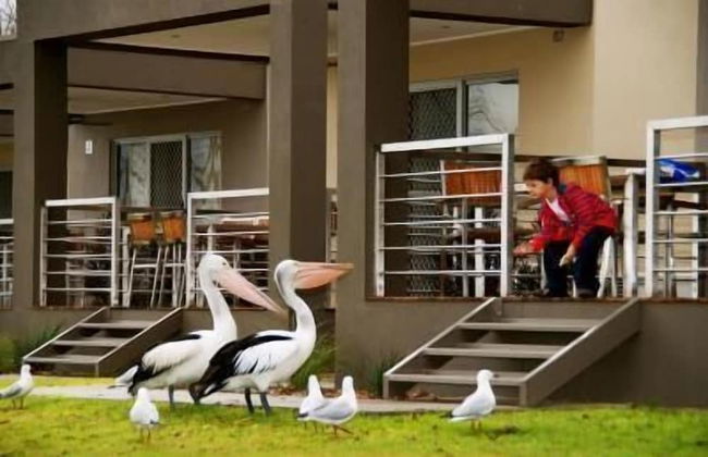 Ski Club Holiday Park - Photo 17