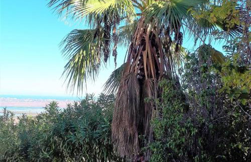 Villa de la Luz - Photo 56