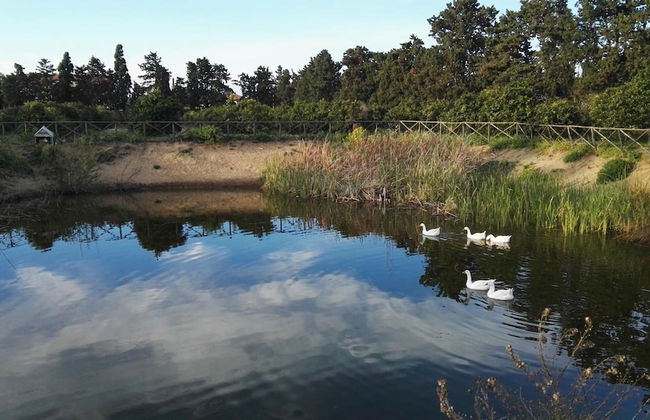 Sicily Country House & Beach - Photo 43