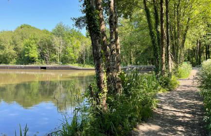 Lodge Nine for 6 with Hot Tub - Spa Resort in Devon - Foto 54