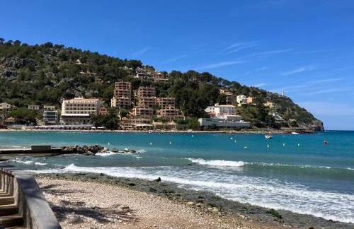 Sweet William - Foto 31