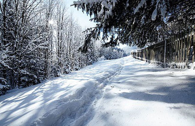 Kaiserhaus Harald Astner Ebbs Studio 2 - Foto 10