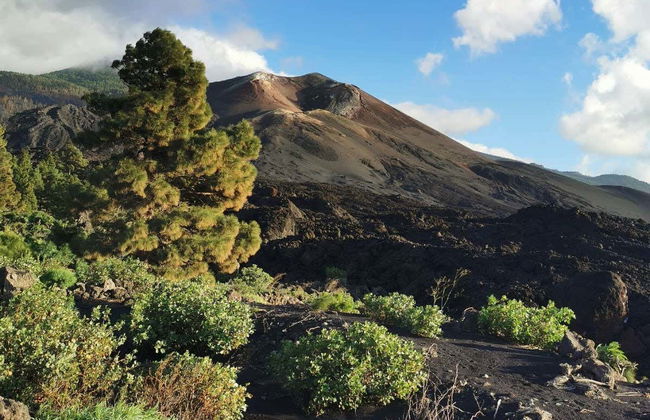 Tajogaite Volcano Day Trip - Photo 6
