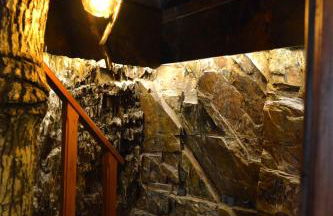 Casa da Arvore - Paradinha - Foto 14