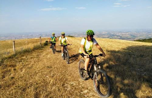 Manor in Marche with Pool and Adriatic Views - Foto 24