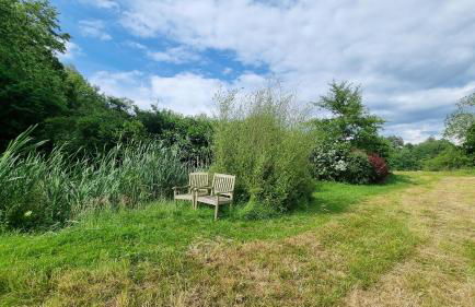 Wolfsmühle - Foto 40