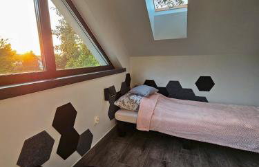 Cienista Dolina - Foto 20