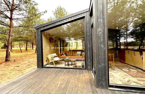 100 Drzew - Leśny Klimat Mazur - Foto 11