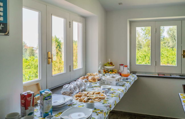 Lemon Factor Sorrento - Photo 55