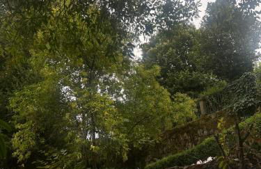 Casa Do Refugio Guest House - Foto 49