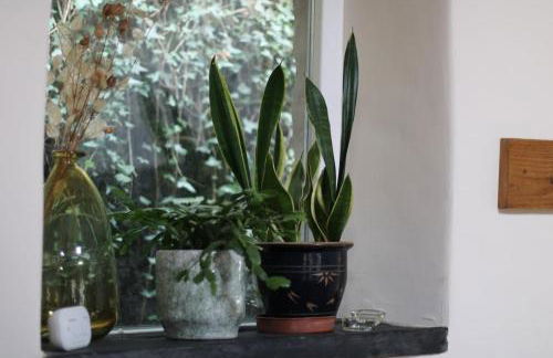 Pretty sunny cottage, Machynlleth - Photo 46