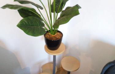 Haus Stefanie - Foto 42