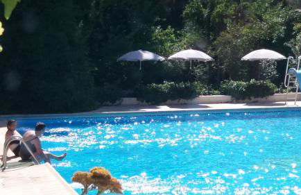 Rural Arco Iris - Foto 56