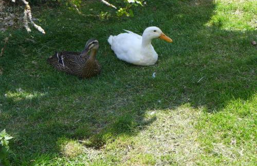 Kienbronnerhof - Foto 16