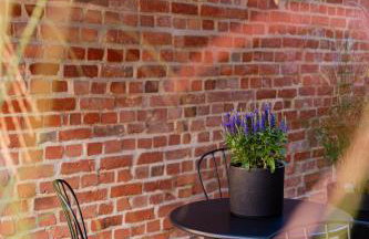 Apartamenty Nad Drwęcą - Foto 14