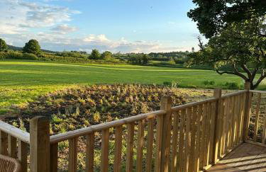 Unbox at Poplar Tree - Photo 8