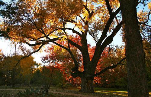 Cathedral Casita at Sedona Cathedral Hideaway LLC - Foto 68