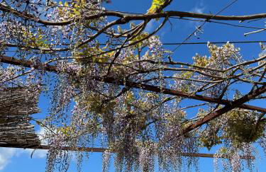 Casa Bizarra - Foto 18