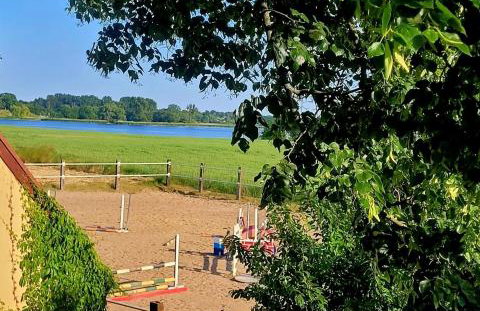 Stajnia Tarnowo Pałuckie - Foto 6