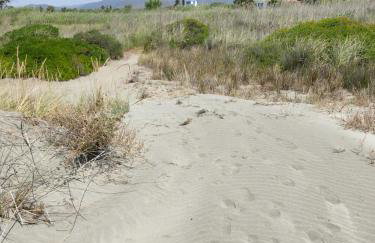 Villa Caretta - direkt an einem einsamen Strand im Süden des Peloponnes - Foto 12