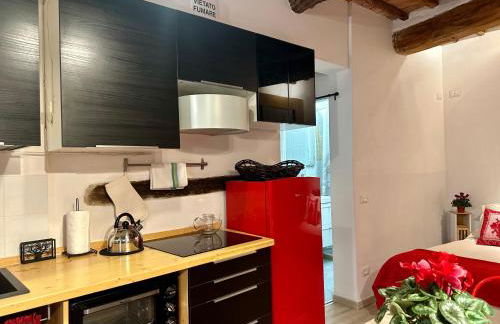 Natural RED Passion in Perugia Downtown - Photo 27