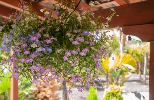 El Rincón Del Huroncillo - Foto 36