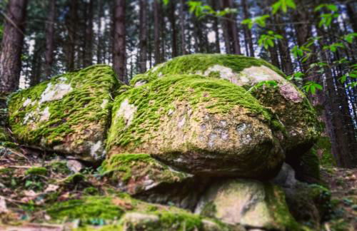 Les Perruchons ancienne grange rénovée avec soin - Foto 59