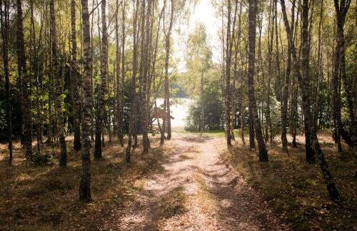 Agroturystyka Pod Pstrągiem - Foto 45