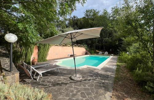 La casa nel bosco - Foto 26