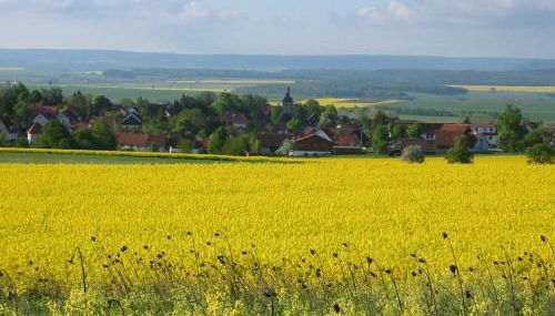 Ferienwohnung-Jung - Foto 3