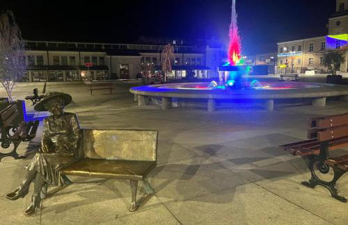 Apartamenty Stary Rynek 18 - Foto 22