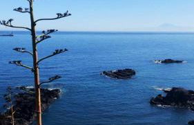 D'Sal y Arena - Foto 17