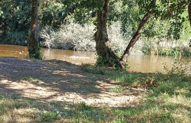Casa Histórica Aldana, Plaza Vieja - Foto 31