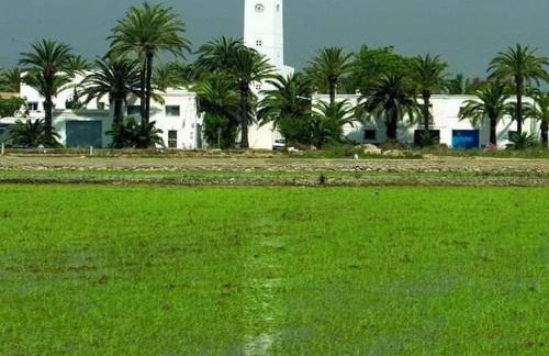 Can Carles - Delta del Ebro - Foto 26