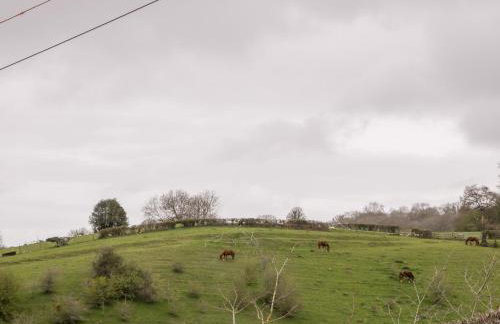 Sevenwoods View - Foto 37