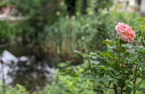Klein aber fein, Ferienhaus am Tonteich - Photo 16
