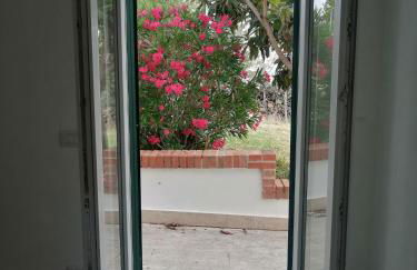 All'ombra del pino ALLOGGIO TURISTICO - Foto 30