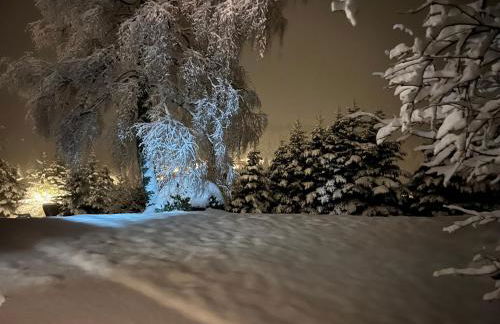 Weiherhaus Orchidee - Foto 15