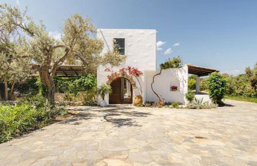 Los Olivos V.I.P Poolvilla Kritinia - Foto 35