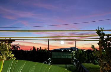 Monte do Bidé Private Farm Peace and Nature - Foto 33