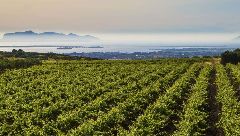 Degustazione di vino a Marsala