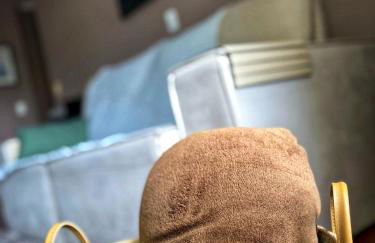 Canto araucarias - Foto 25