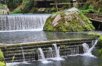 Landhaus Porschdorf - Foto 31