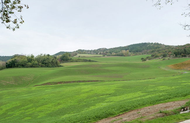 Belvilla by OYO Borgata Porpora Due - Photo 23