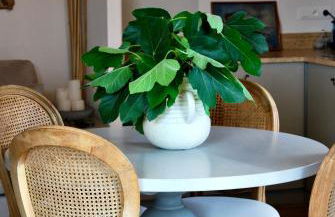 Villa Madra - Foto 78