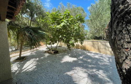 MARSEILLAN PLAGE JOLI T2 - Foto 5